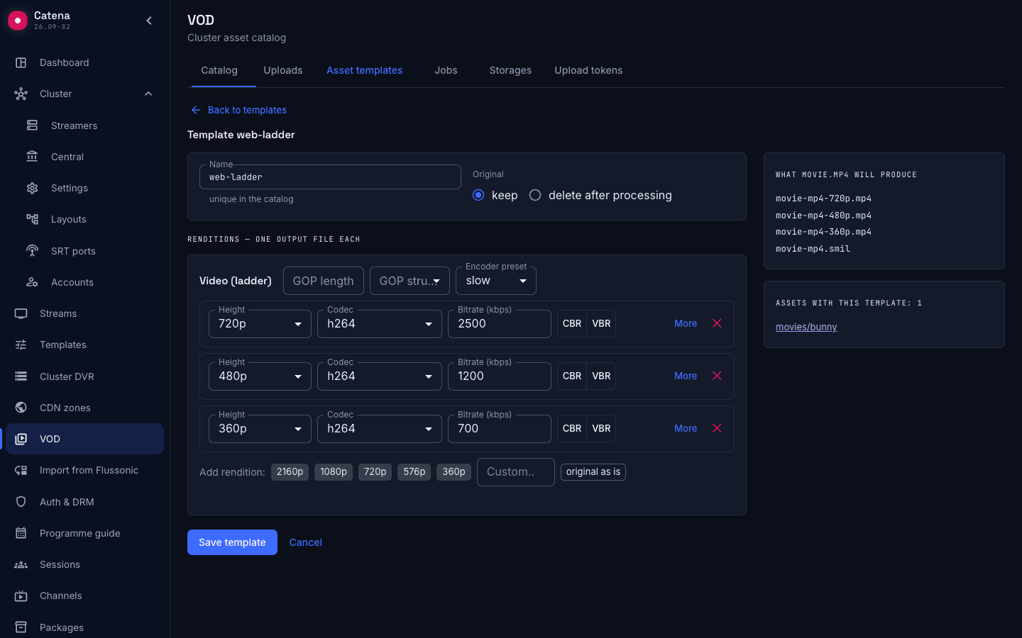 A Catena template with several renditions and a preview of the output files