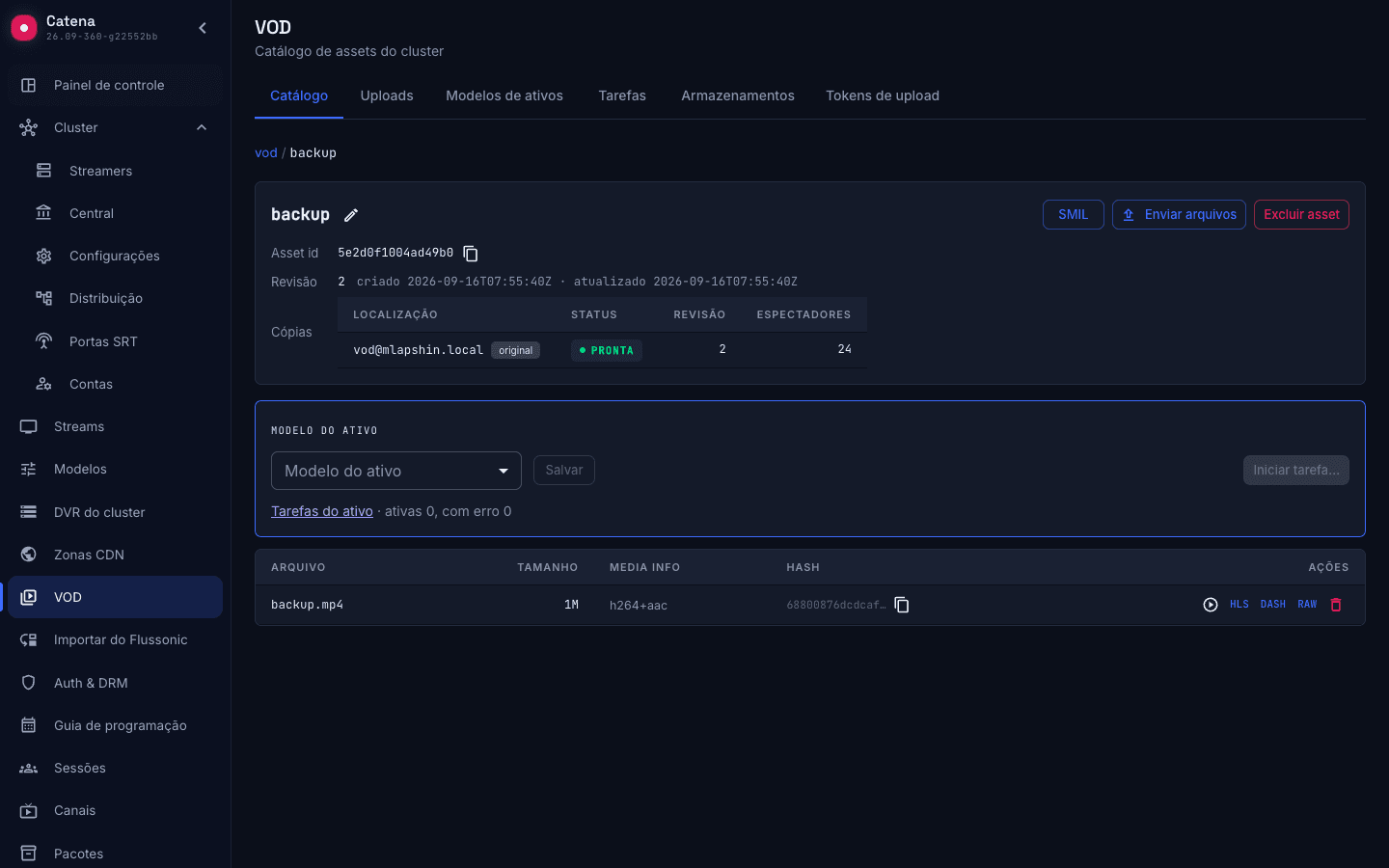 Página de um asset VOD com seu armazenamento e espectadores no servidor